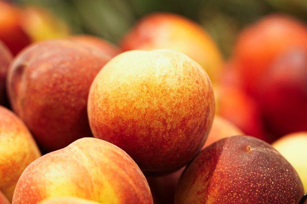 Ortofrutta