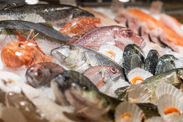 Pescheria