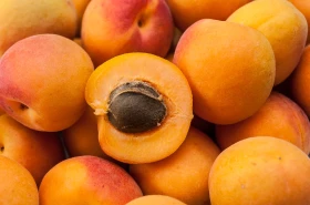 Albicocche