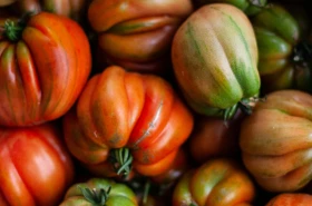 Pomodori